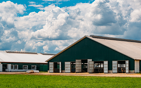 Smart Farming